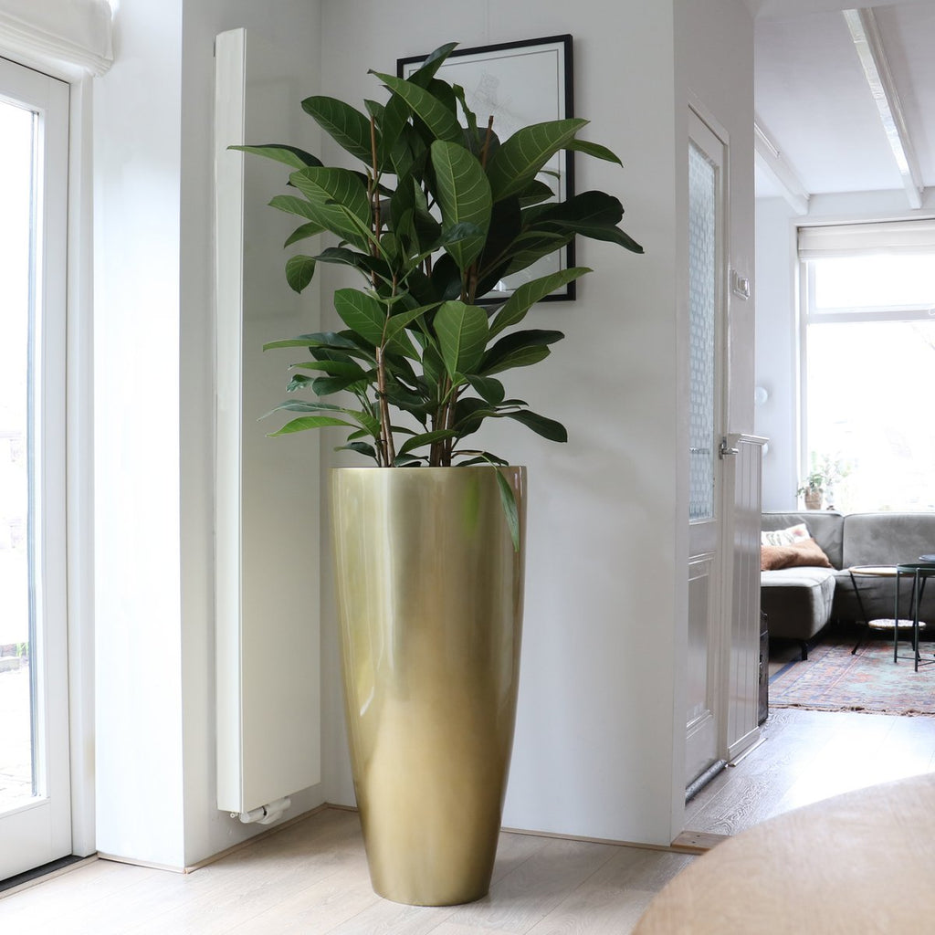 Plantenpot Kentucky Gold, Hoog Model, Ø37 x H80 cm /of/ Ø47 x H100 cm, Vase The World