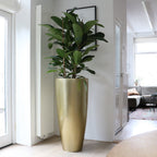 Plantenpot Kentucky Gold, Hoog Model, Ø37 x H80 cm /of/ Ø47 x H100 cm, Vase The World