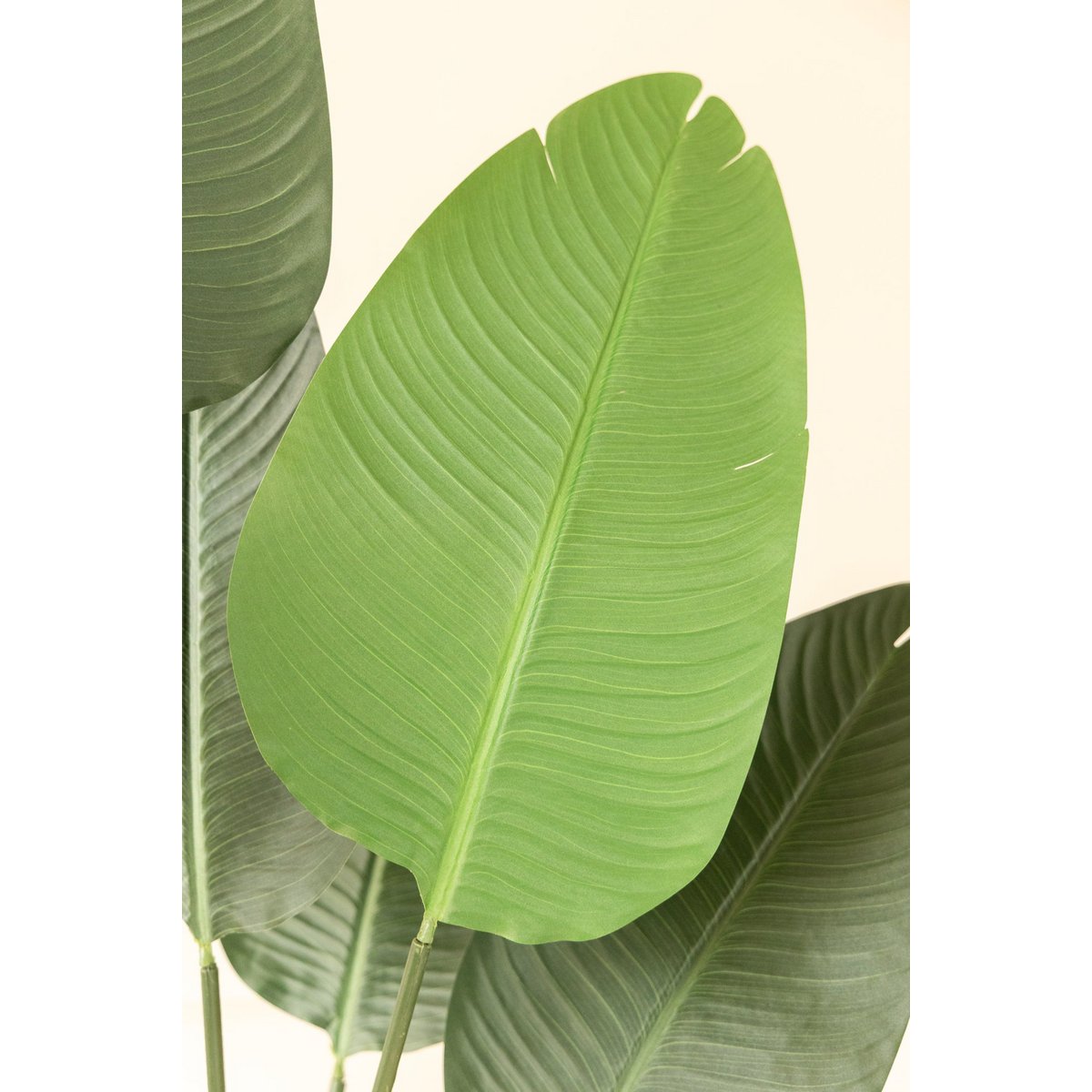 Strelitzia Kunstplant 210 cm, Groen, Extra Groot