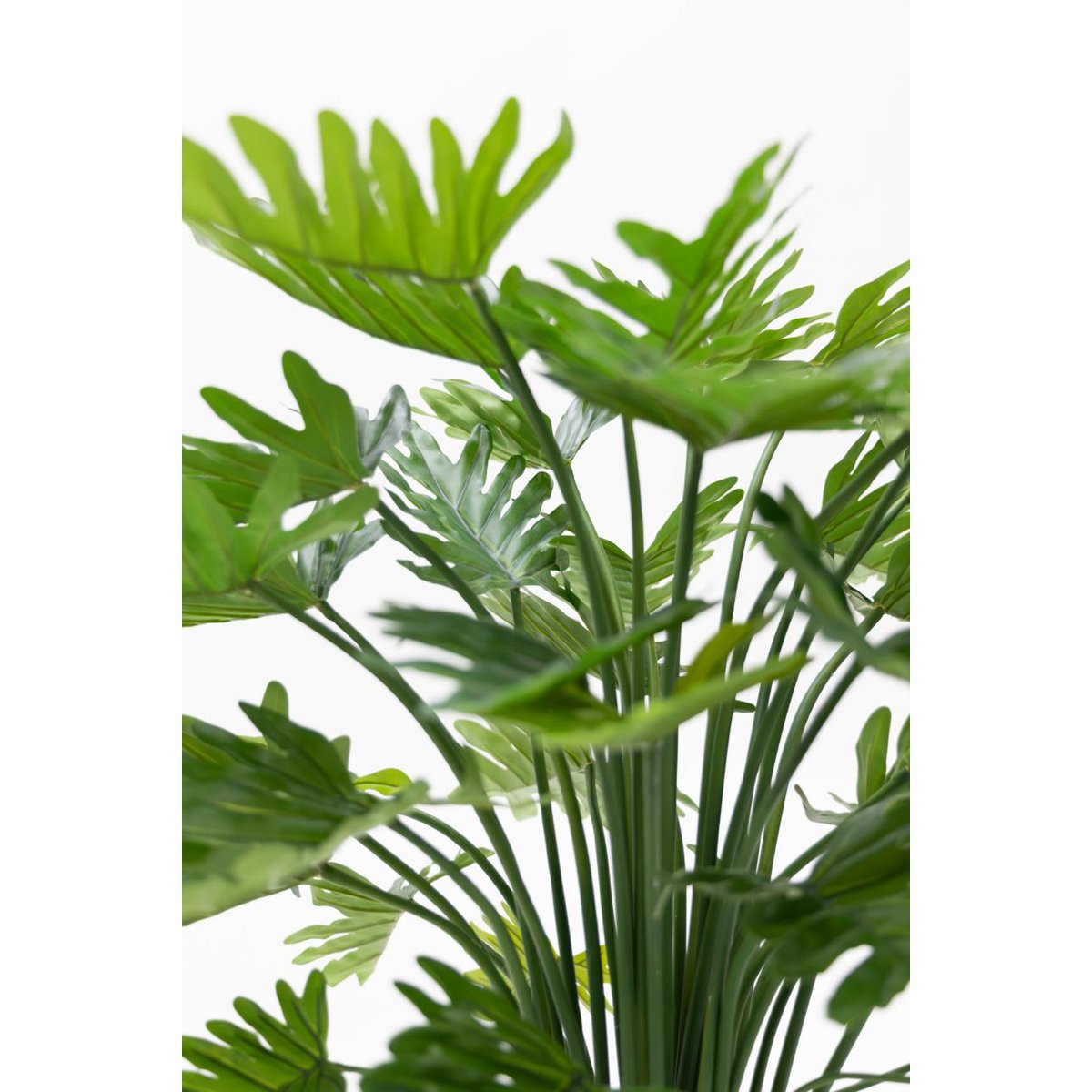 Philodendron Kunstplant 75 cm, Groen