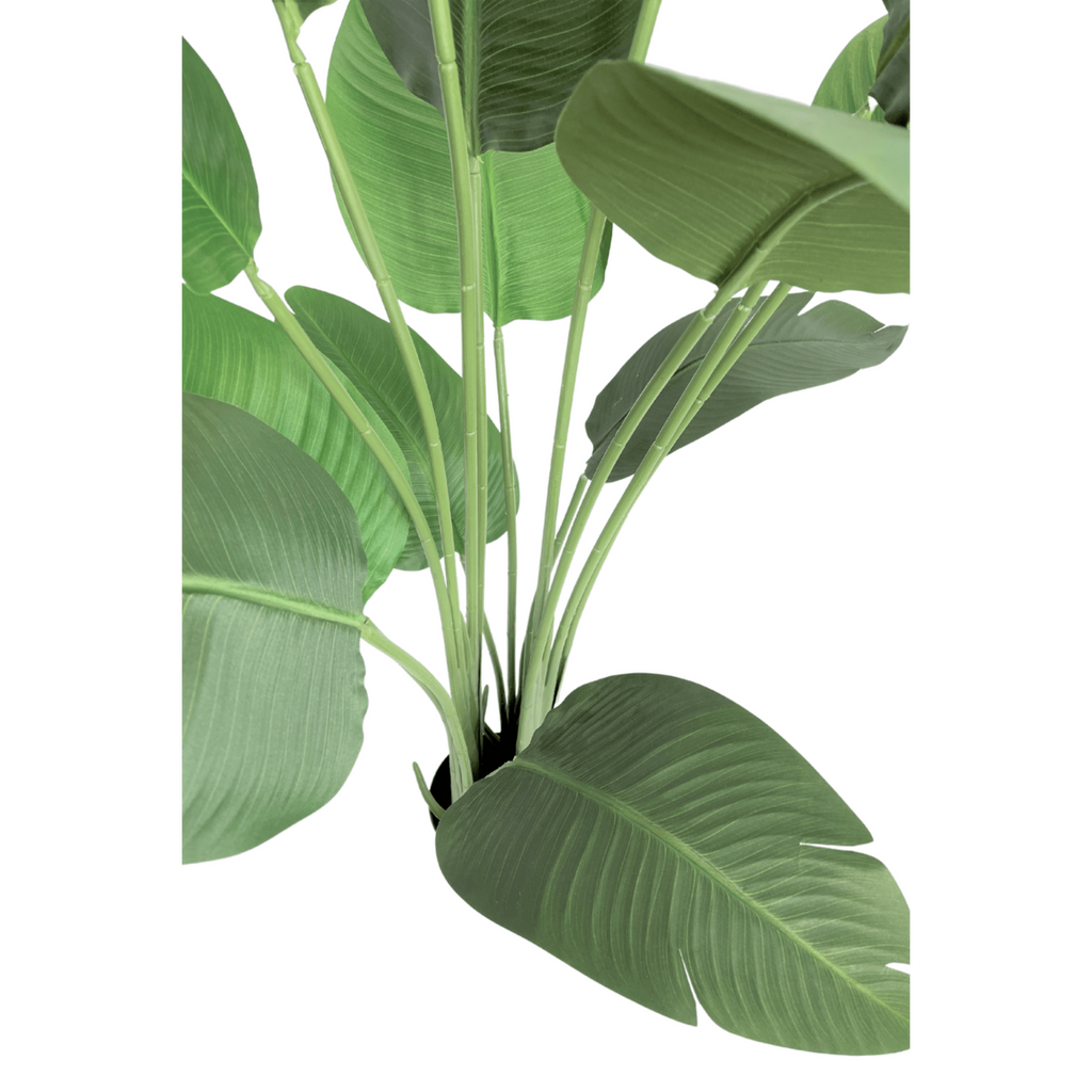 Strelitzia Kunstplant 160 cm, Groen