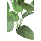 Strelitzia Kunstplant 160 cm, Groen