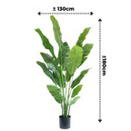 Strelitzia Kunstplant 180 cm Deluxe, Groen