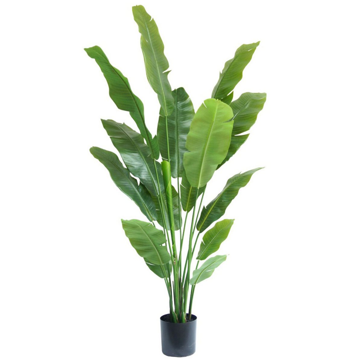 Strelitzia Kunstplant 180 cm Deluxe, Groen