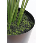 Kunstpalm 150 cm, Groen (22 Bladeren)