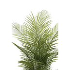 Kunstpalm 150 cm, Groen (22 Bladeren)