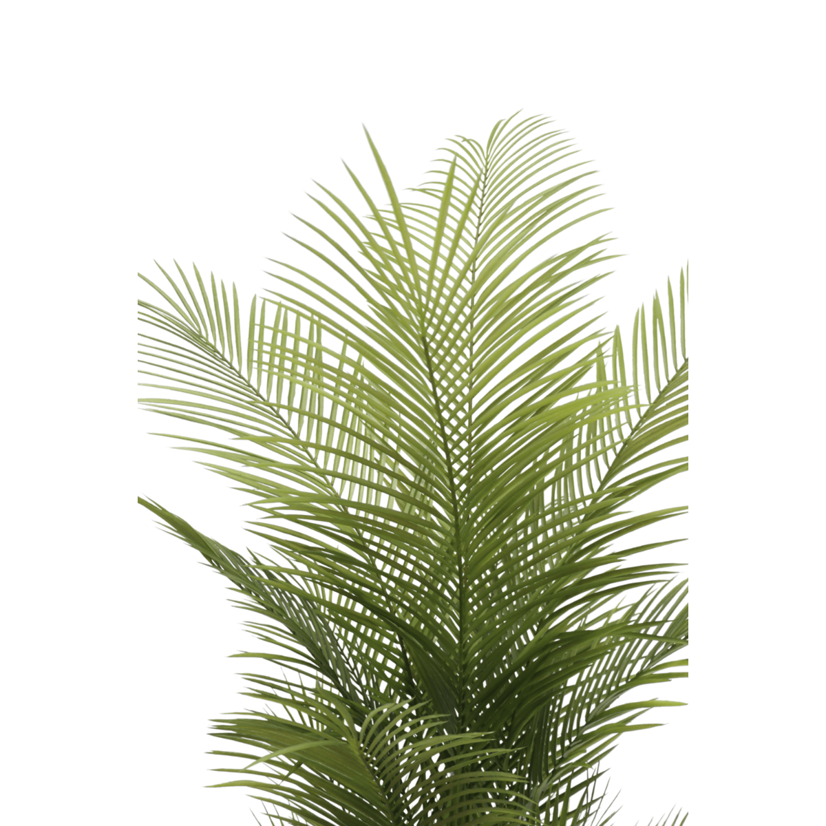 Kunstpalm 150 cm, Groen (22 Bladeren)