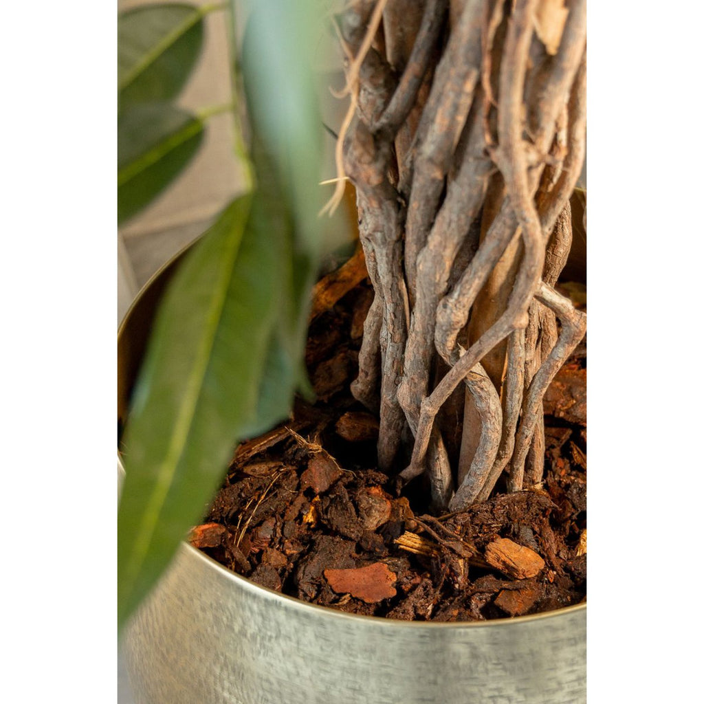 Longifolia Kunstplant 180 cm, Groen