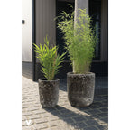Plantenpot Fuji Relic Black, Set van 2, Ø36 en Ø26 cm