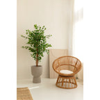 Kunst Ficus 150 cm, Groen (Ficus Benjamina)