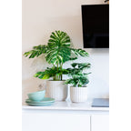 Monstera Kunstplant 75 cm, Groen
