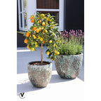Plantenpot Laki Relic Jade Set van 2, Ø36 en Ø25 cm, Vase The World