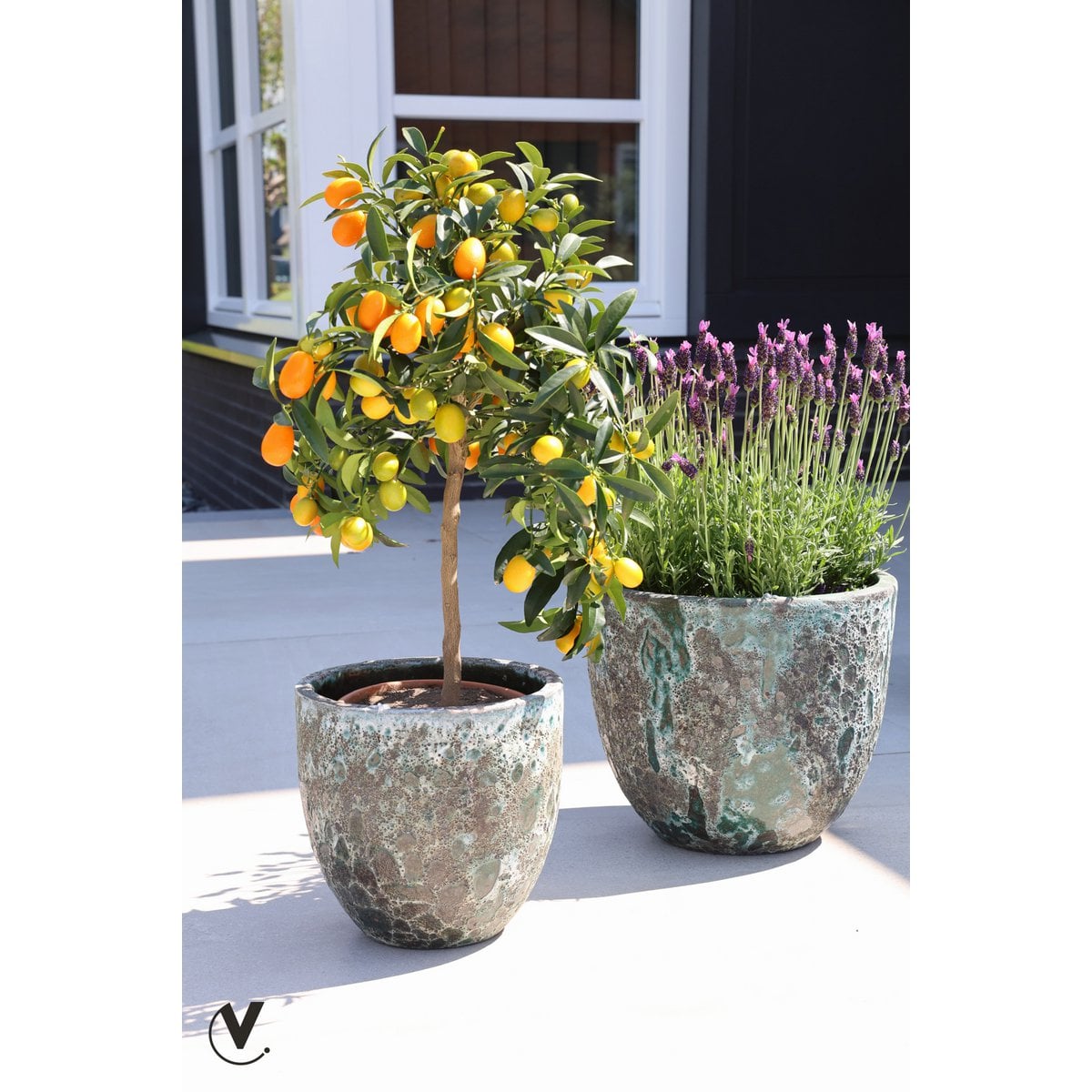 Plantenpot Laki Relic Jade Set van 2, Ø36 en Ø25 cm, Vase The World