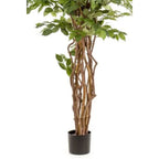 Ficus Liana Kunstboom 170 cm, Groen