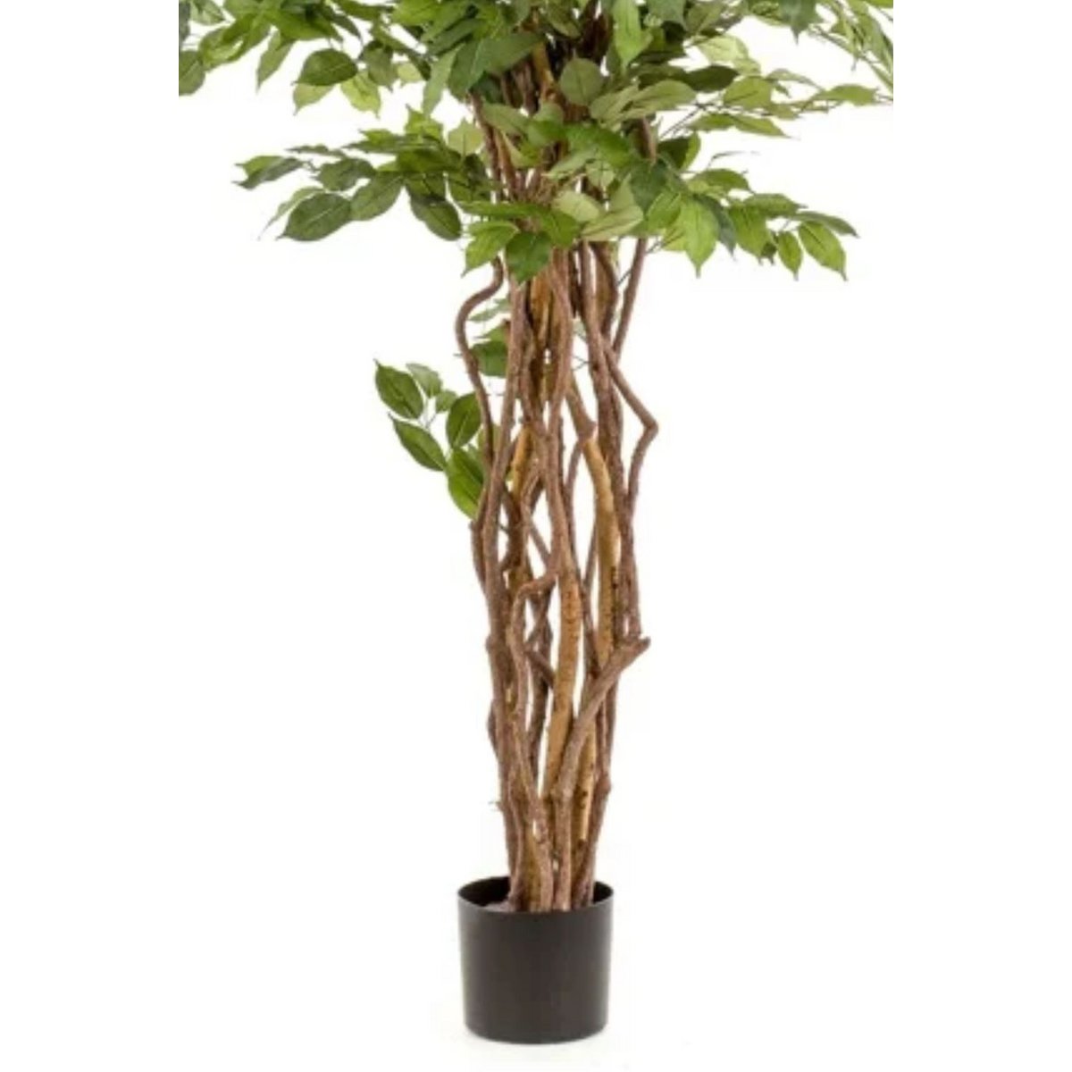 Ficus Liana Kunstboom 170 cm, Groen