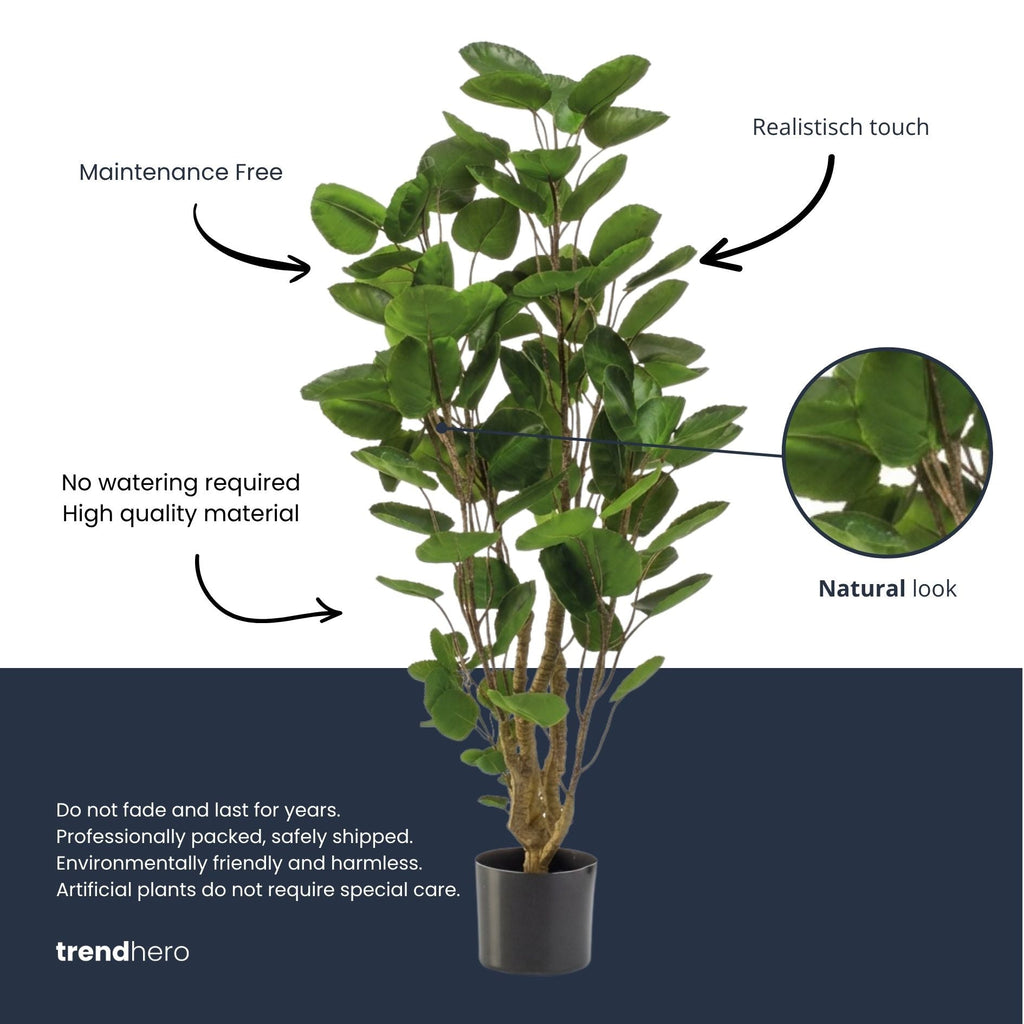 Polyscias Tree - 105 Cm - Artificial Plant