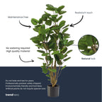 Polyscias Tree - 105 Cm - Artificial Plant