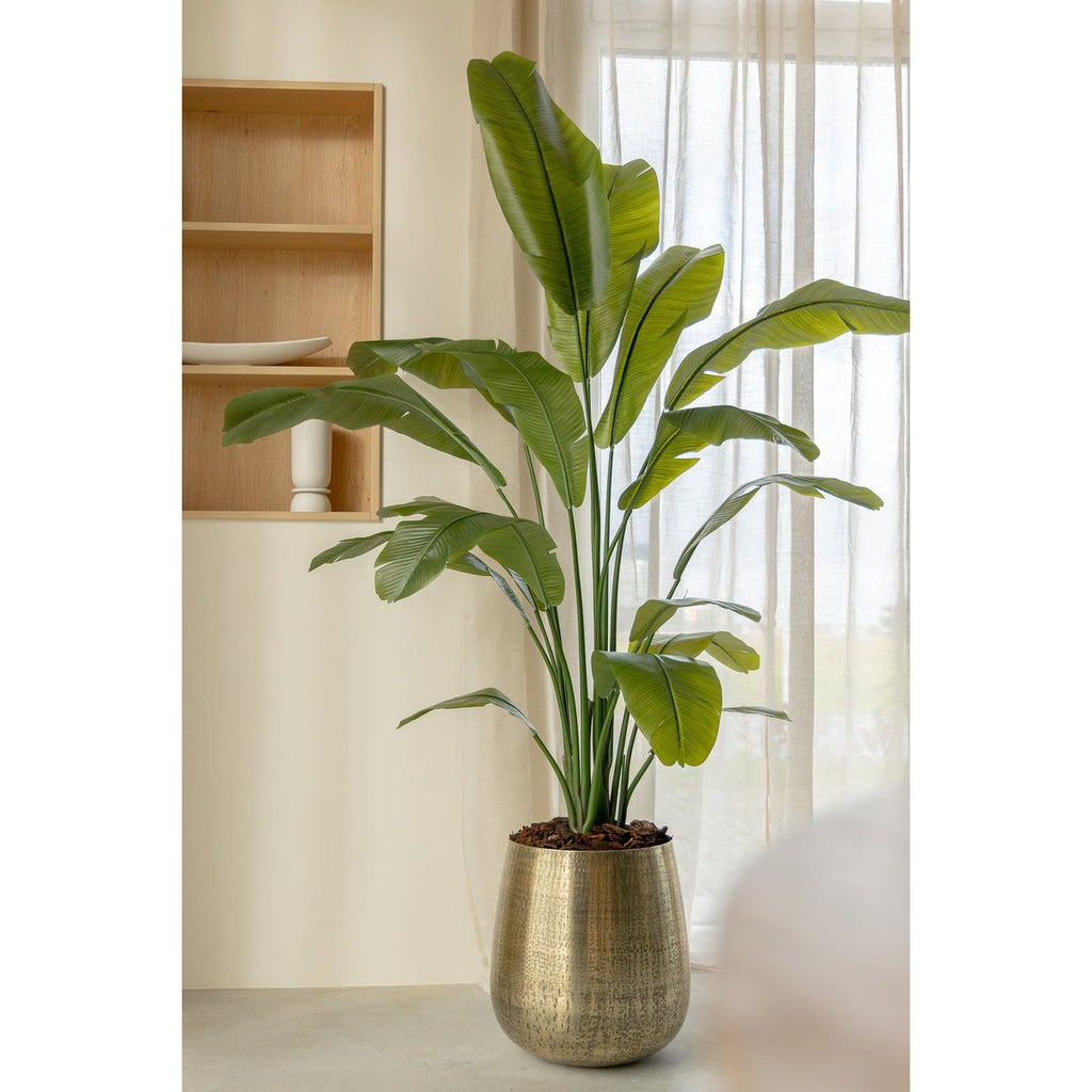 Strelitzia Kunstplant 180 cm Deluxe, Groen