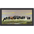 Schilderij Koeien 7 Op Rij 40 x 80 cm, Zwarte Lijst