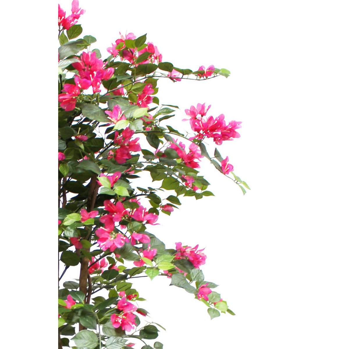 Bougainvillea Kunstplant 150 cm, Roze Bloemen