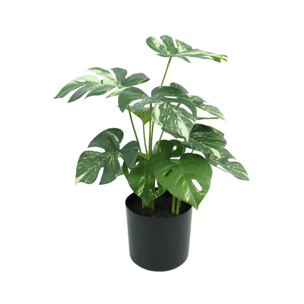 Monstera Kunstplant 40 cm, Groen