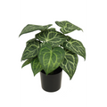 Syngonium Kunstplant 30 cm, Groen