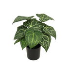Syngonium Kunstplant 30 cm, Groen