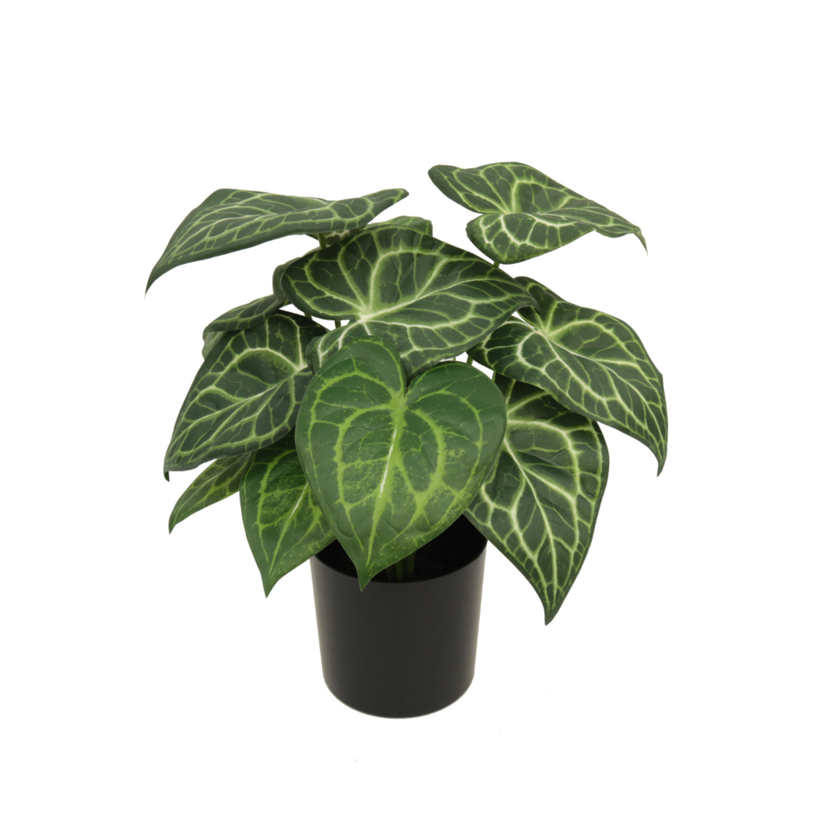 Syngonium Kunstplant 30 cm, Groen