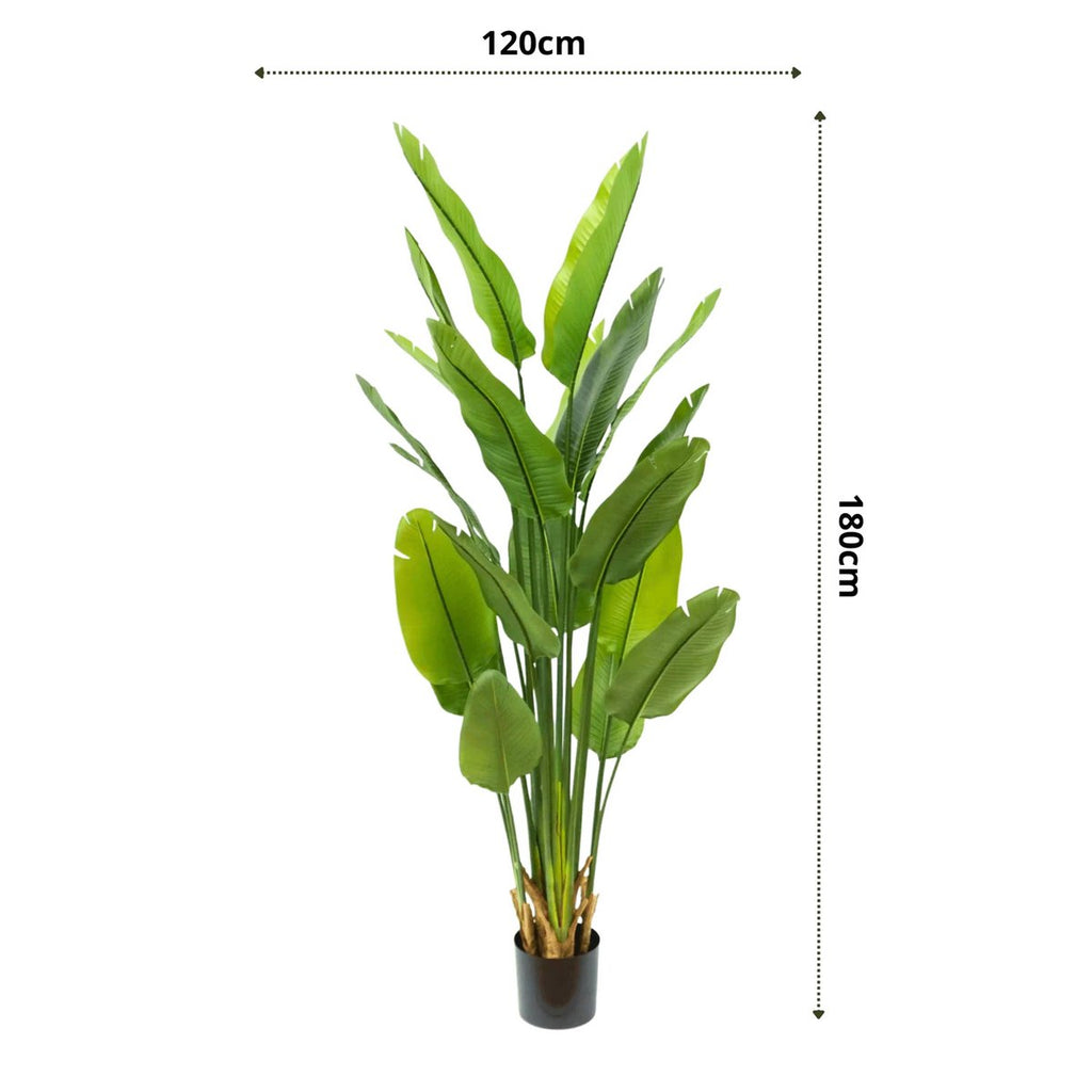 Strelitzia kunstplant 180 cm, grote kunstplant met realistische bladeren