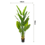 Strelitzia kunstplant 180 cm, grote kunstplant met realistische bladeren