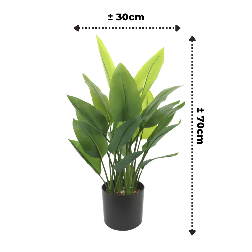 Strelitzia Kunstplant 70 cm, Groen (6 Bladeren)
