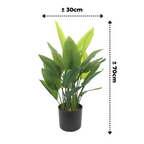 Strelitzia Kunstplant 70 cm, Groen (6 Bladeren)