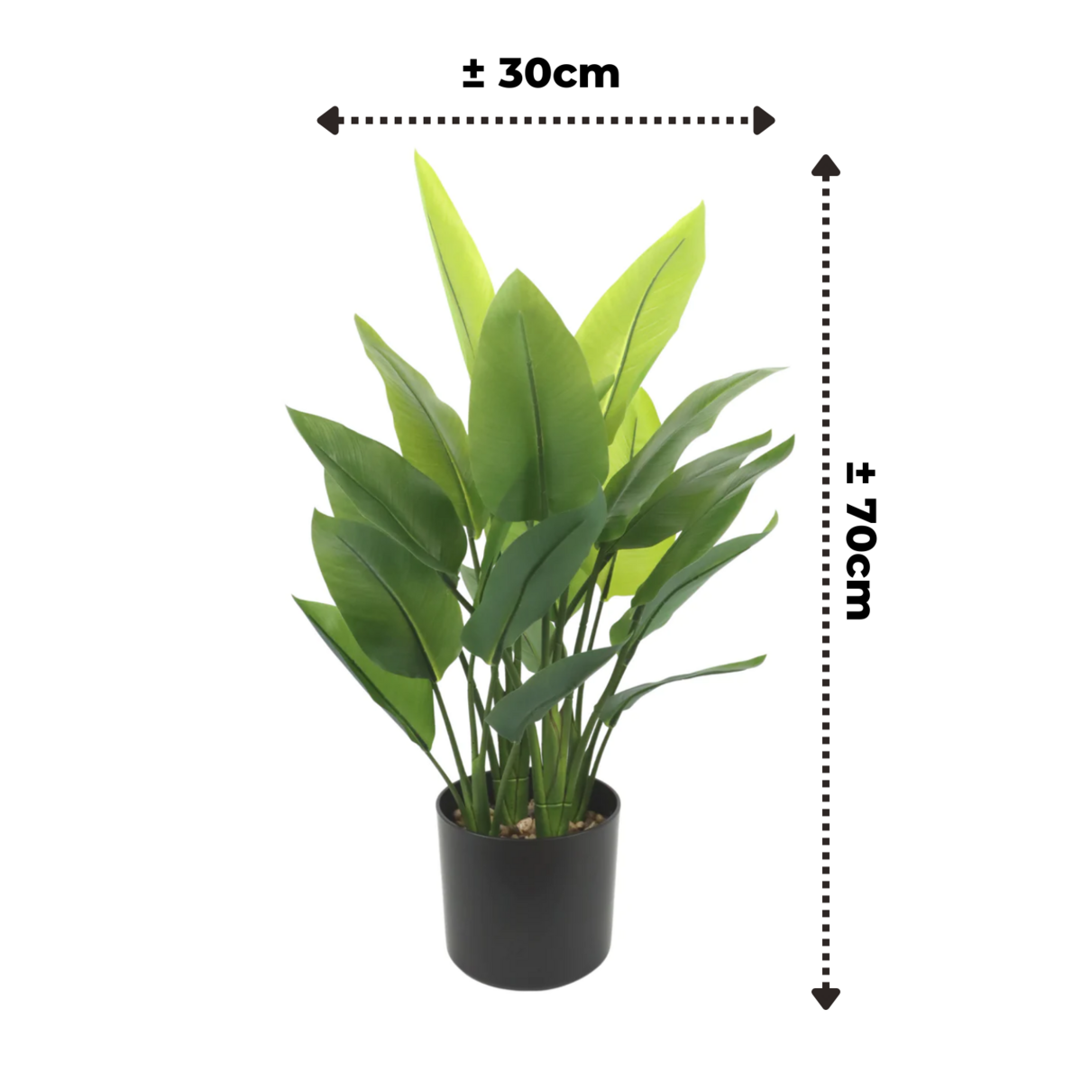 Strelitzia Kunstplant 70 cm, Groen (6 Bladeren)