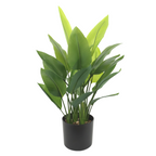 Strelitzia Kunstplant 70 cm, Groen (6 Bladeren)