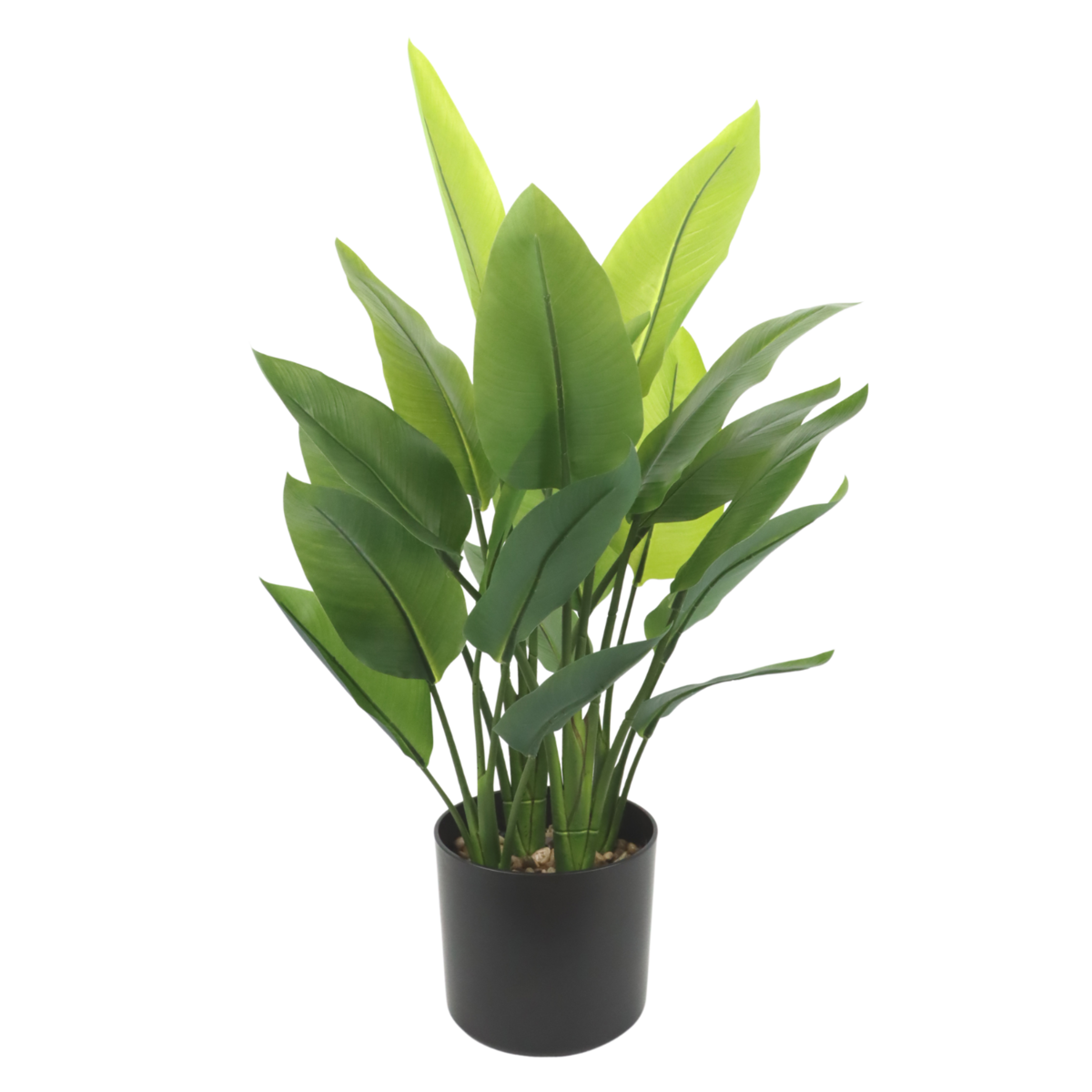 Strelitzia Kunstplant 70 cm, Groen (6 Bladeren)