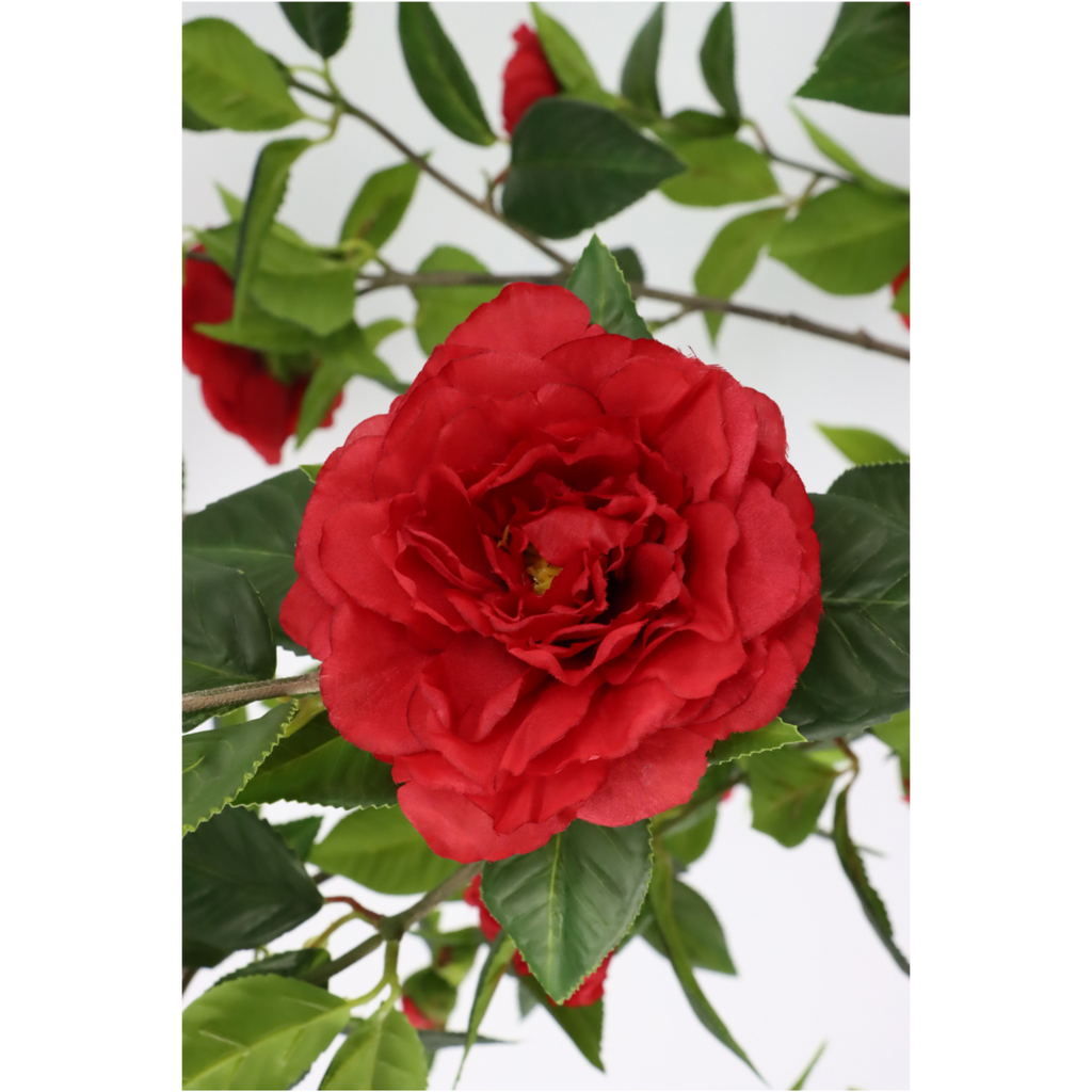 Japanse Roos Kunstplant 155 cm (Camellia), Rood