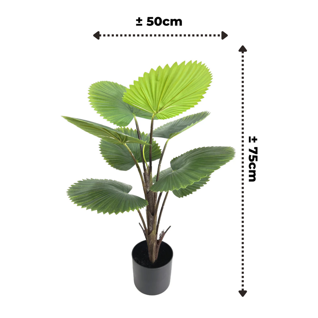 Kunst Waaierpalm 75 cm, Groen
