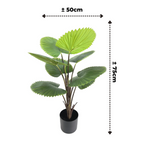 Kunst Waaierpalm 75 cm, Groen