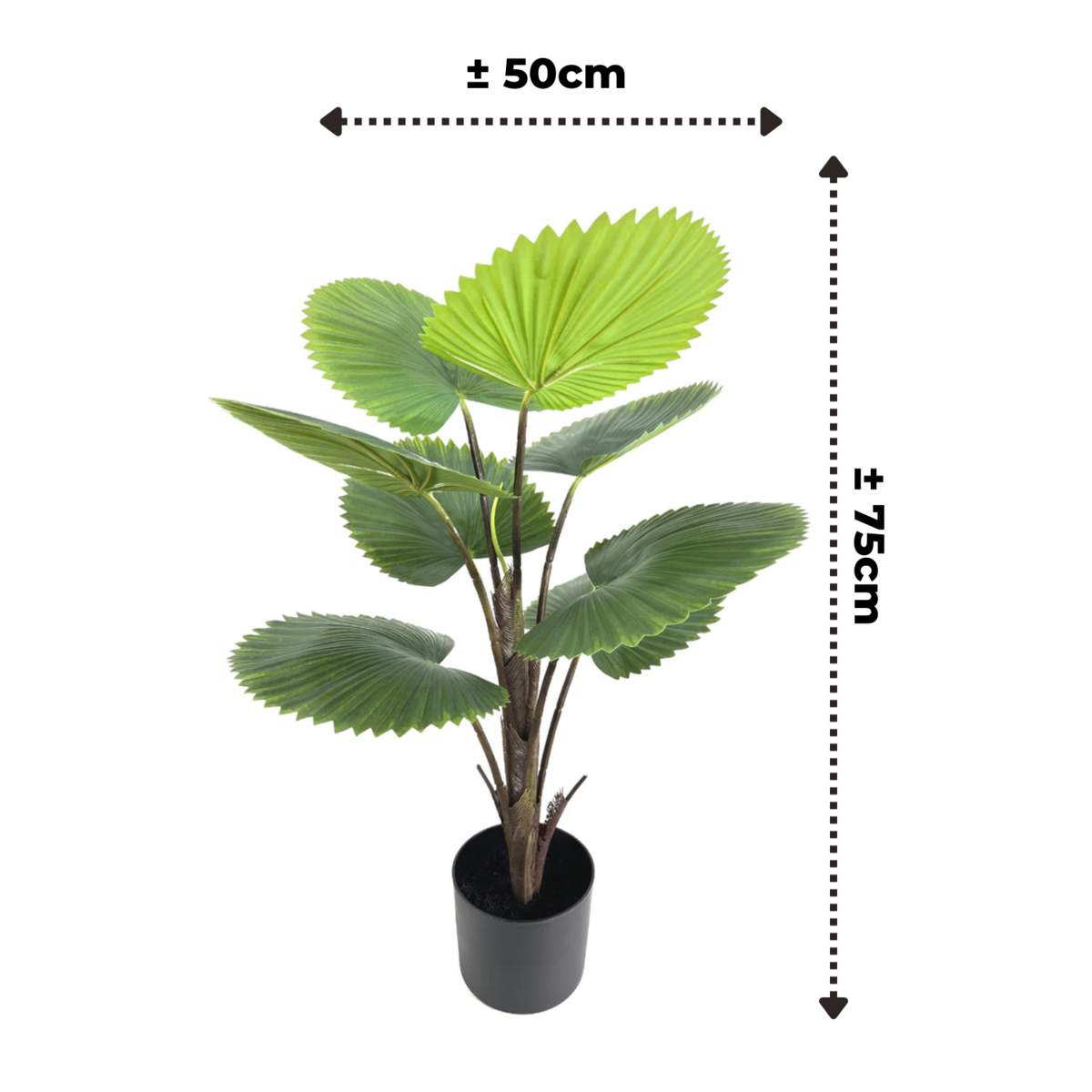 Kunst Waaierpalm 75 cm, Groen