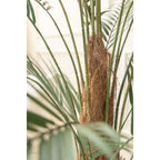 Kunstpalm 150 cm, Groen (24 Bladeren)