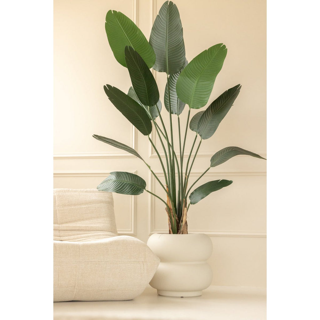 Strelitzia Kunstplant 210 cm, Groen, Extra Groot