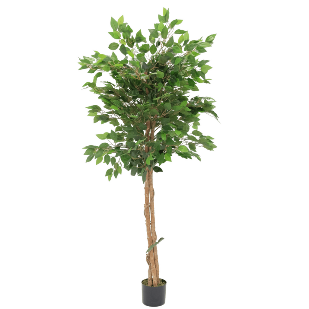 Kunst Ficus 150 cm, Groen (Ficus Benjamina)