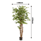 Ficus Liana Kunstboom 170 cm, Groen