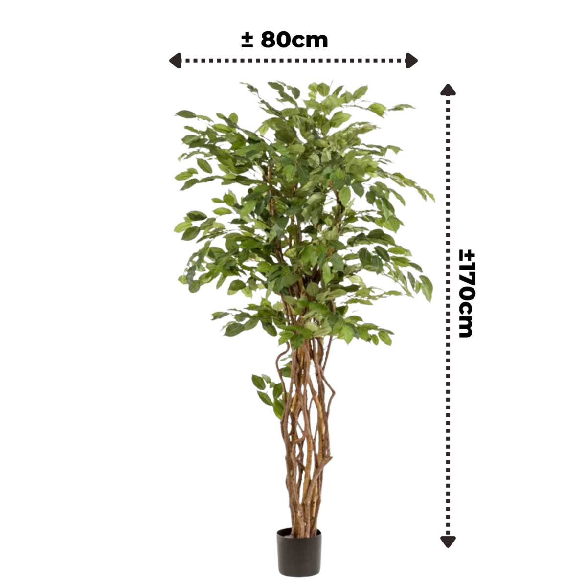 Ficus Liana Kunstboom 170 cm, Groen