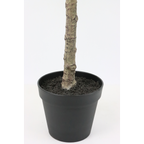 Japanse Roos Kunstplant 155 cm (Camellia), Rood