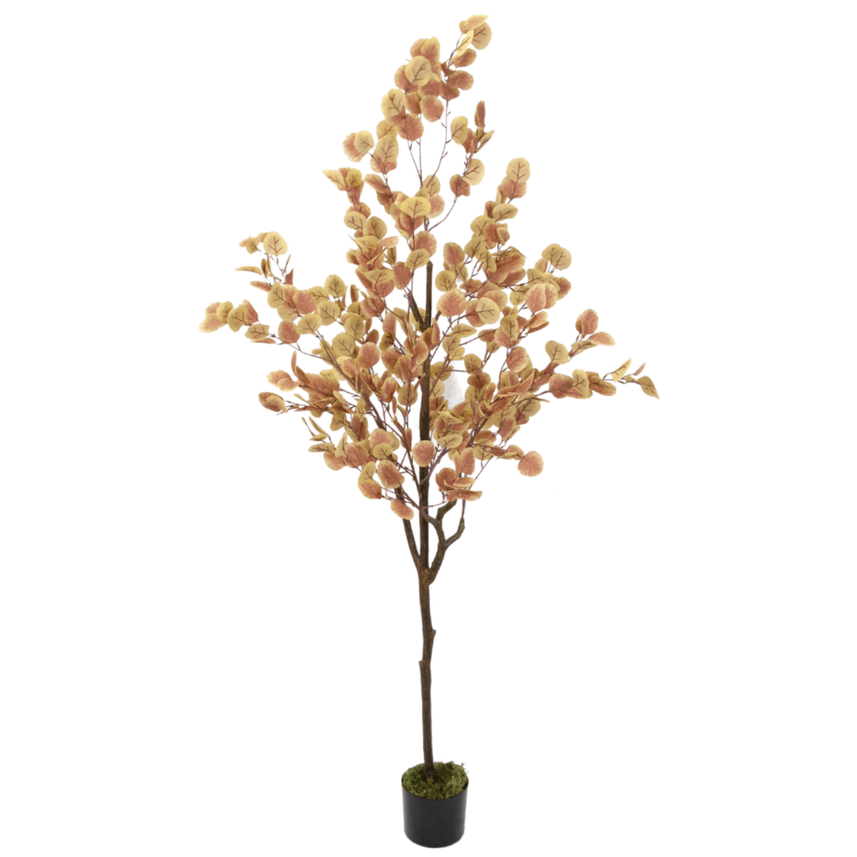 Eucalyptus Kunstboom 180 cm, Roestkleur, Warm Accent
