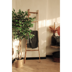 Kunst Ficus 150 cm, Groen (Ficus Benjamina)