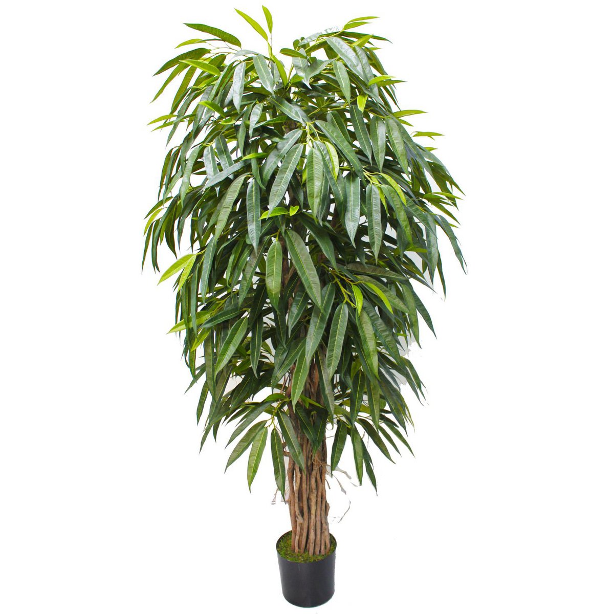 Longifolia Kunstplant 180 cm, Groen