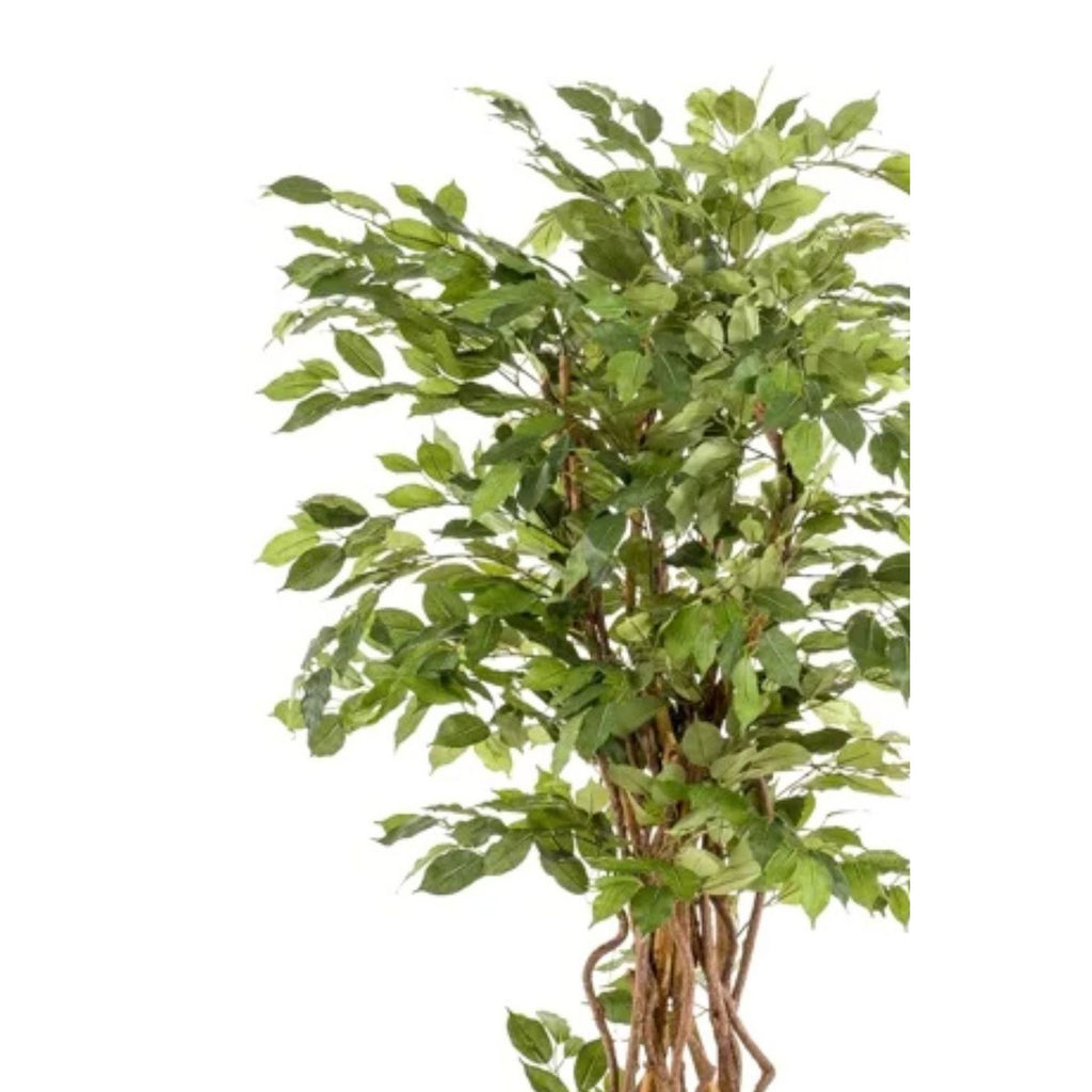 Ficus Liana Kunstboom 170 cm, Groen