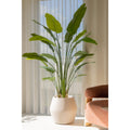 Strelitzia kunstplant 180 cm, grote kunstplant met realistische bladeren